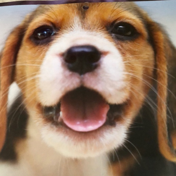 Calendar - Picture 3 of 3